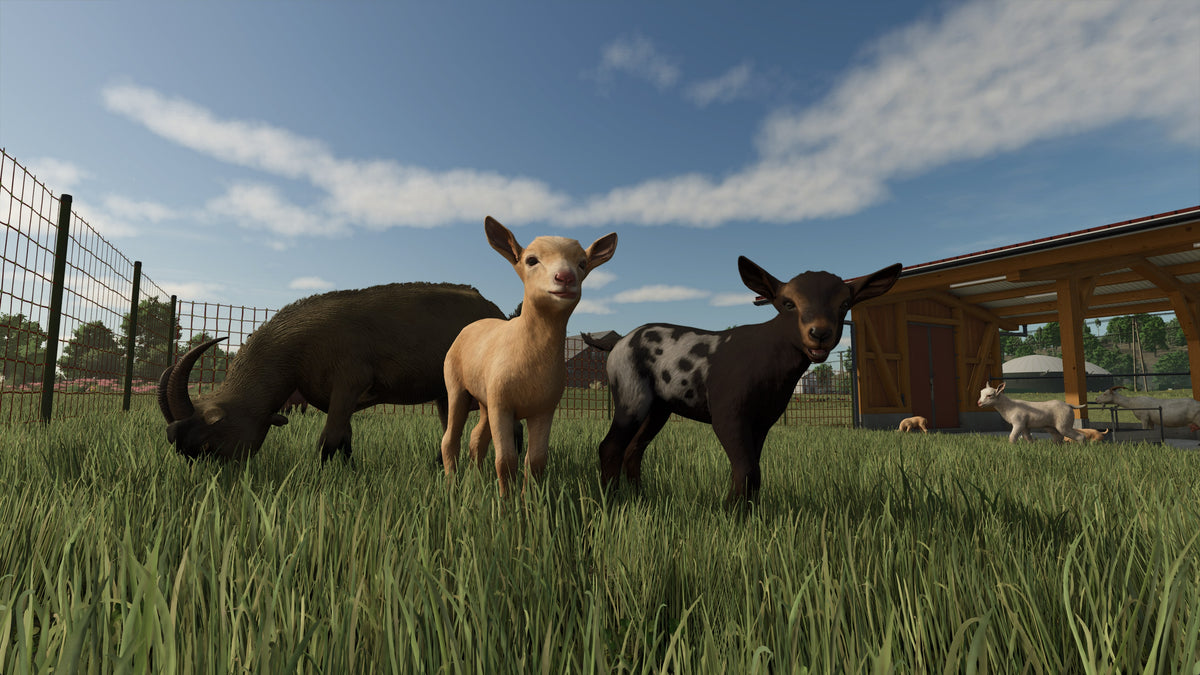 Farming Simulator 25 captura 3