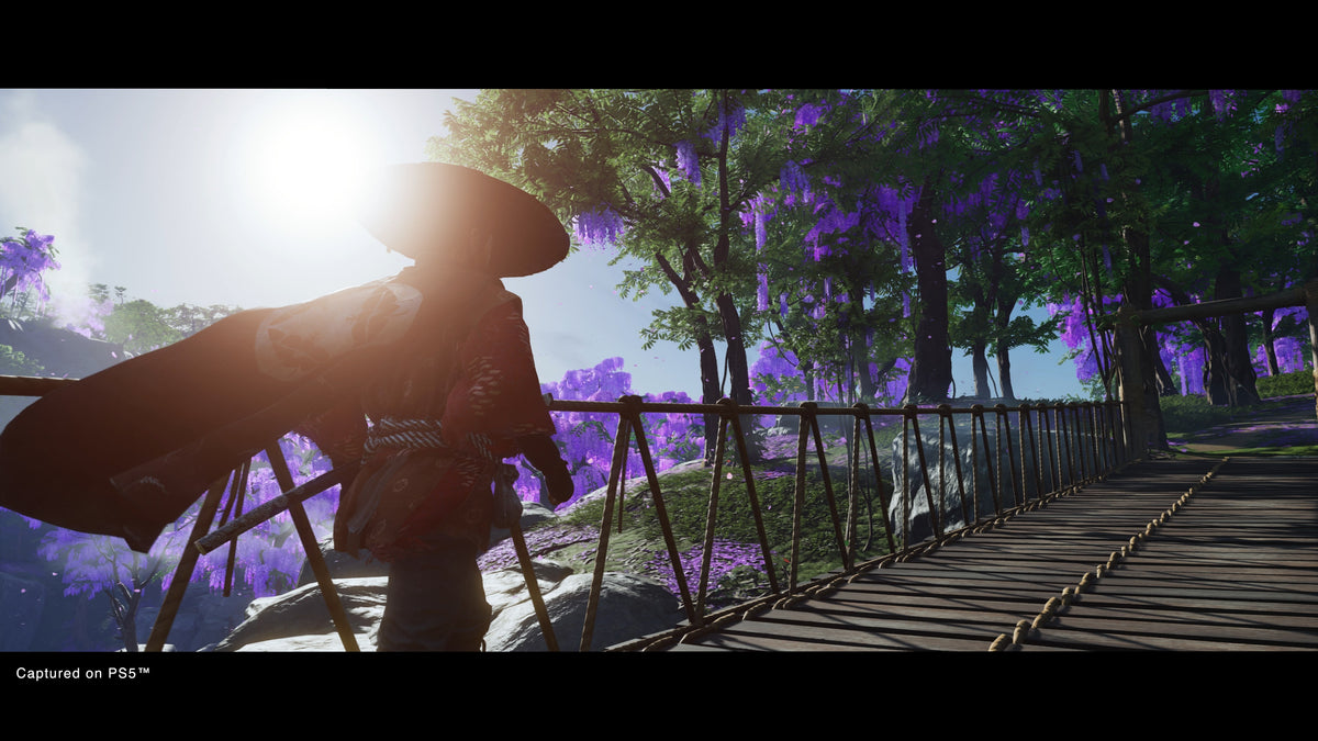 Ghost of Tsushima DIRECTOR'S CUT captura 1