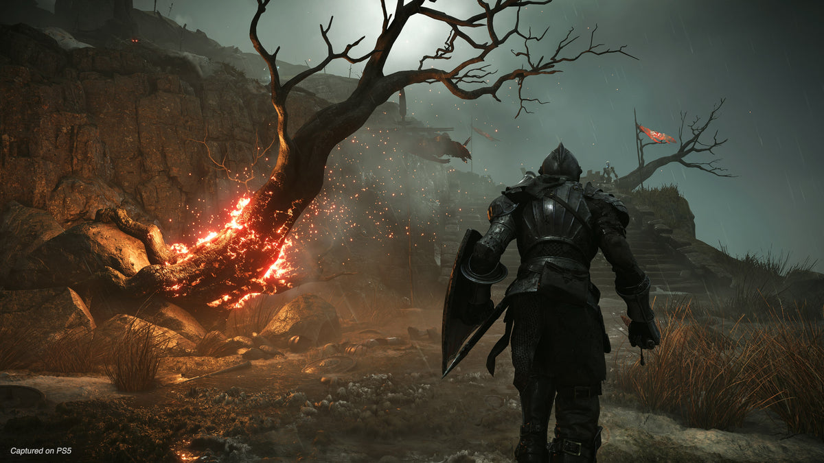 Demon's Souls captura 2