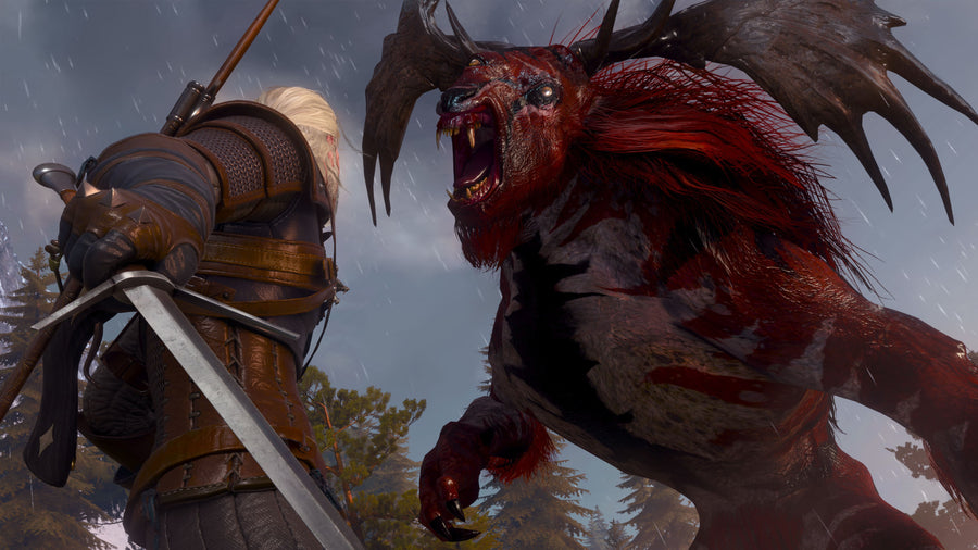 The Witcher 3: Wild Hunt