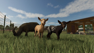 Farming Simulator 25 4