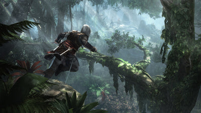 Assassin's Creed IV Black Flag 2