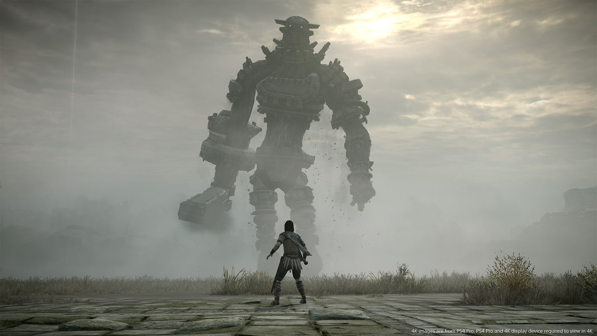 Shadow of the Colossus captura 3