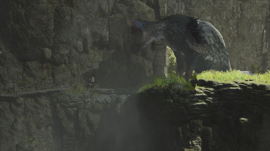 The Last Guardian
