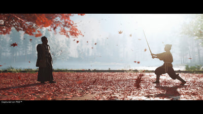 Ghost of Tsushima DIRECTOR'S CUT 5