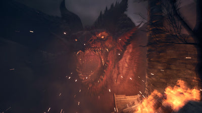 Dragon's Dogma 2 4