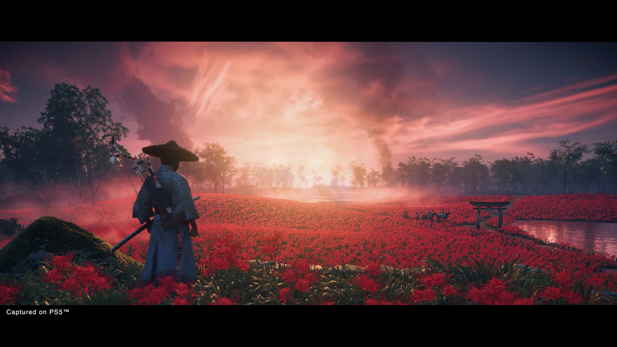Ghost of Tsushima DIRECTOR'S CUT captura 2