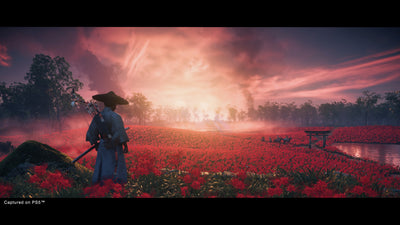 Ghost of Tsushima DIRECTOR'S CUT 3